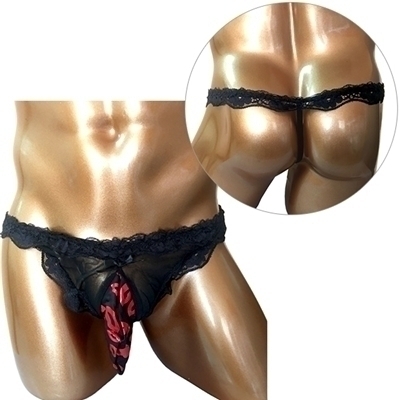 �a�����c���������@�j�h�r�r�@�l�d�@�|�[���V���[�c�i�o�|�O�O�T...